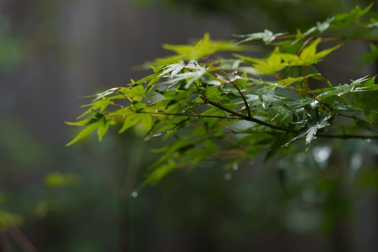 滔々 御崎 町家の宿 Toutou Onzaki Machiya No Yado Kurashiki Bagian luar foto